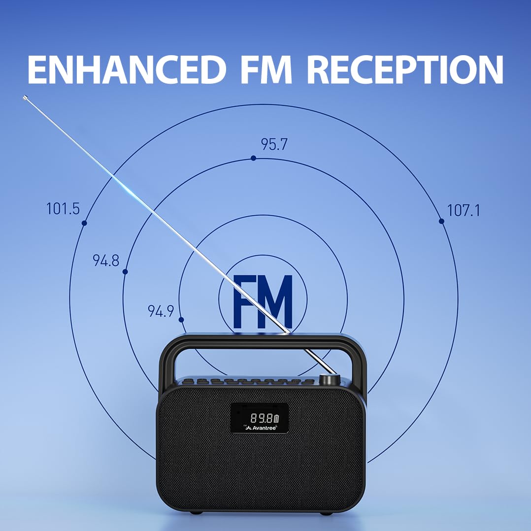 Portable FM Radio with 30W Stereo Bluetooth Speaker C934