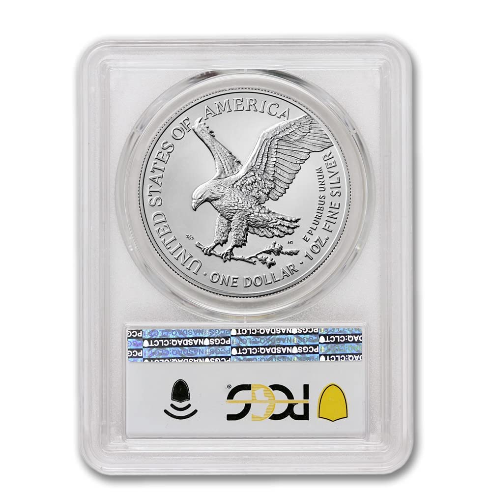 1 oz American Silver Eagle N989001