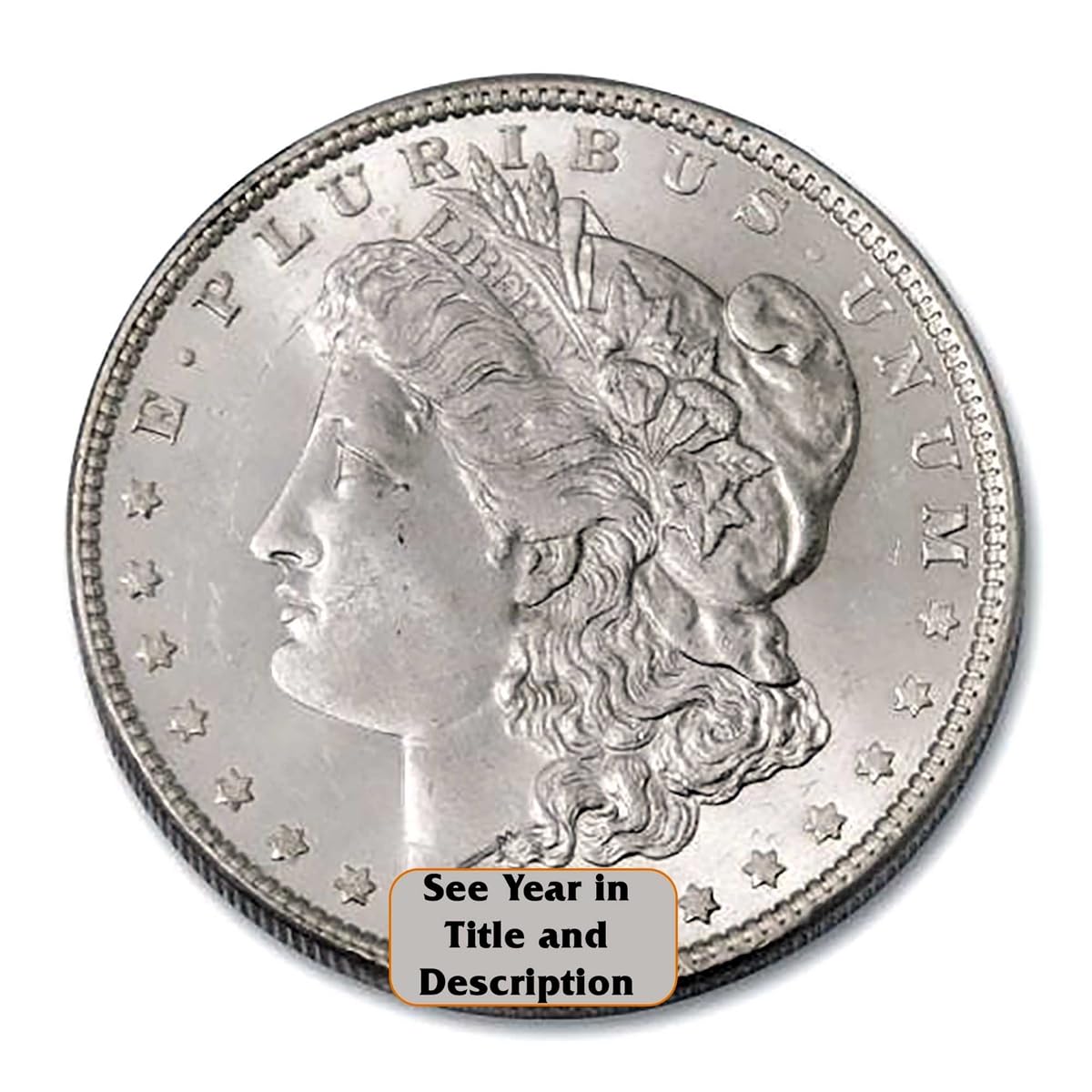 Morgan Silver Dollar I7835