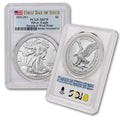 1 oz American Silver Eagle N989001