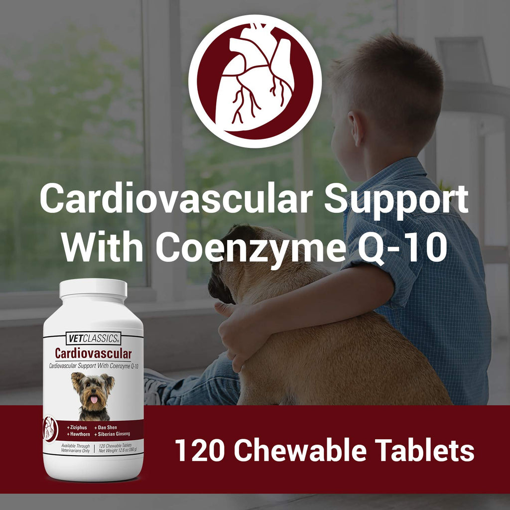 Cardiovascular Supplement with Coenzyme Q-10 for Dogs 120 Ct Q78572