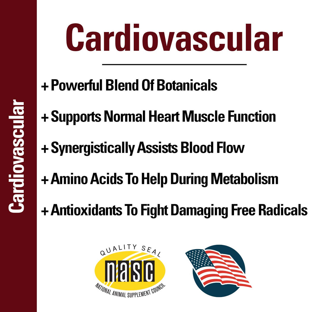 Cardiovascular Supplement with Coenzyme Q-10 for Dogs 120 Ct Q78572