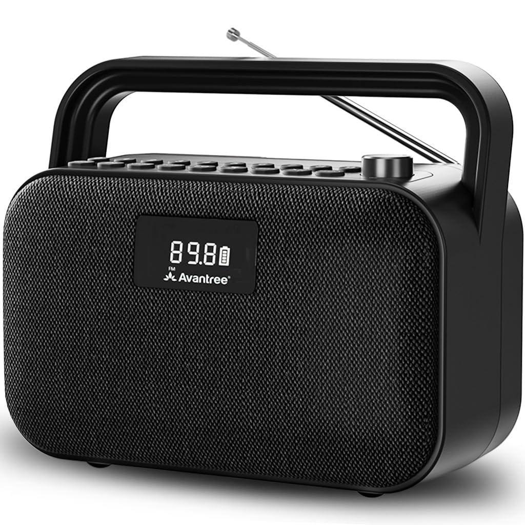 Portable FM Radio with 30W Stereo Bluetooth Speaker C934