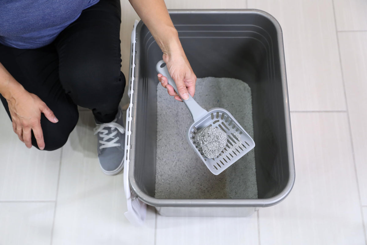 Enclosed Cat Litter Box with Hinged Lid B6249