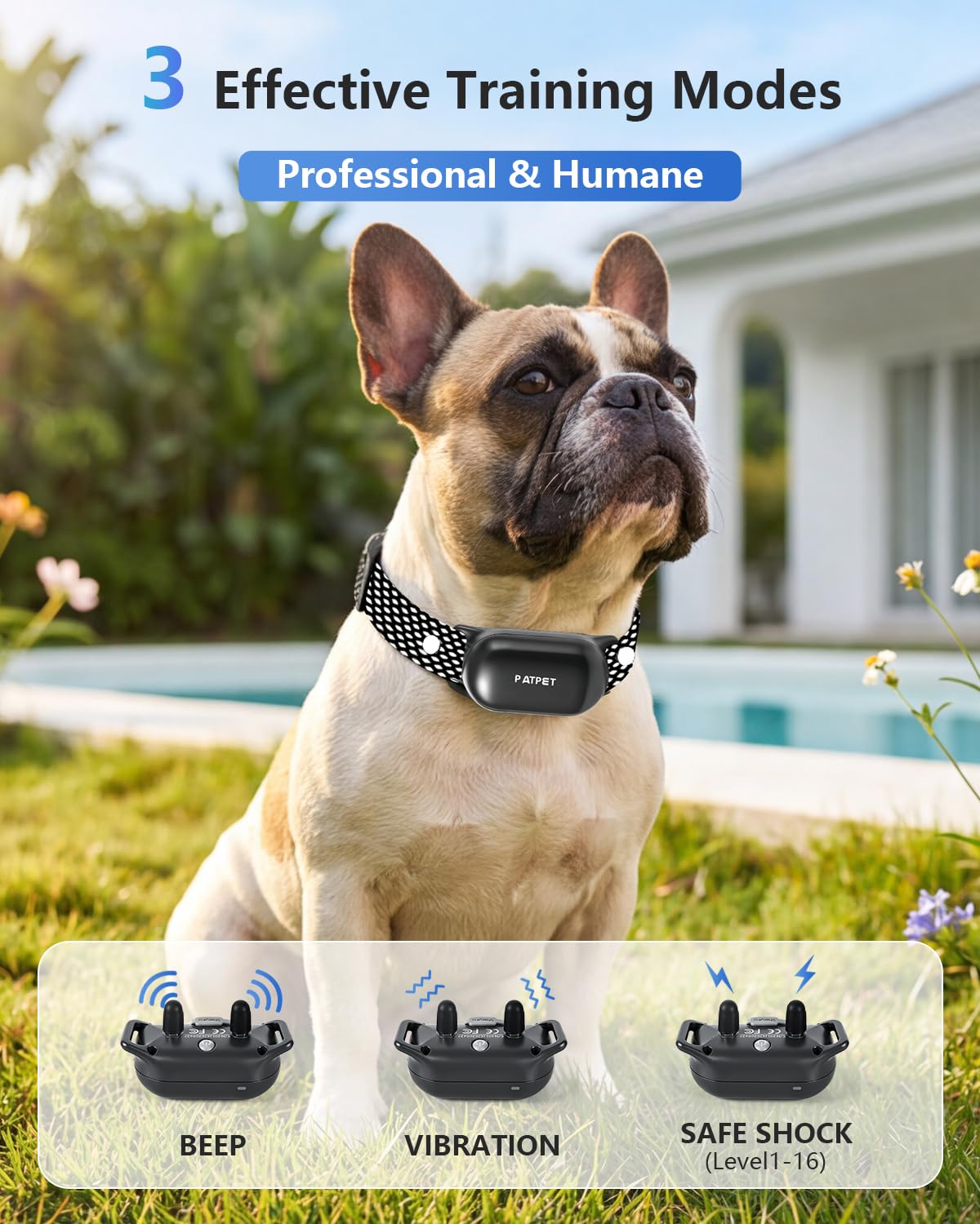 Dog Shock Collar with Remote Control F233857