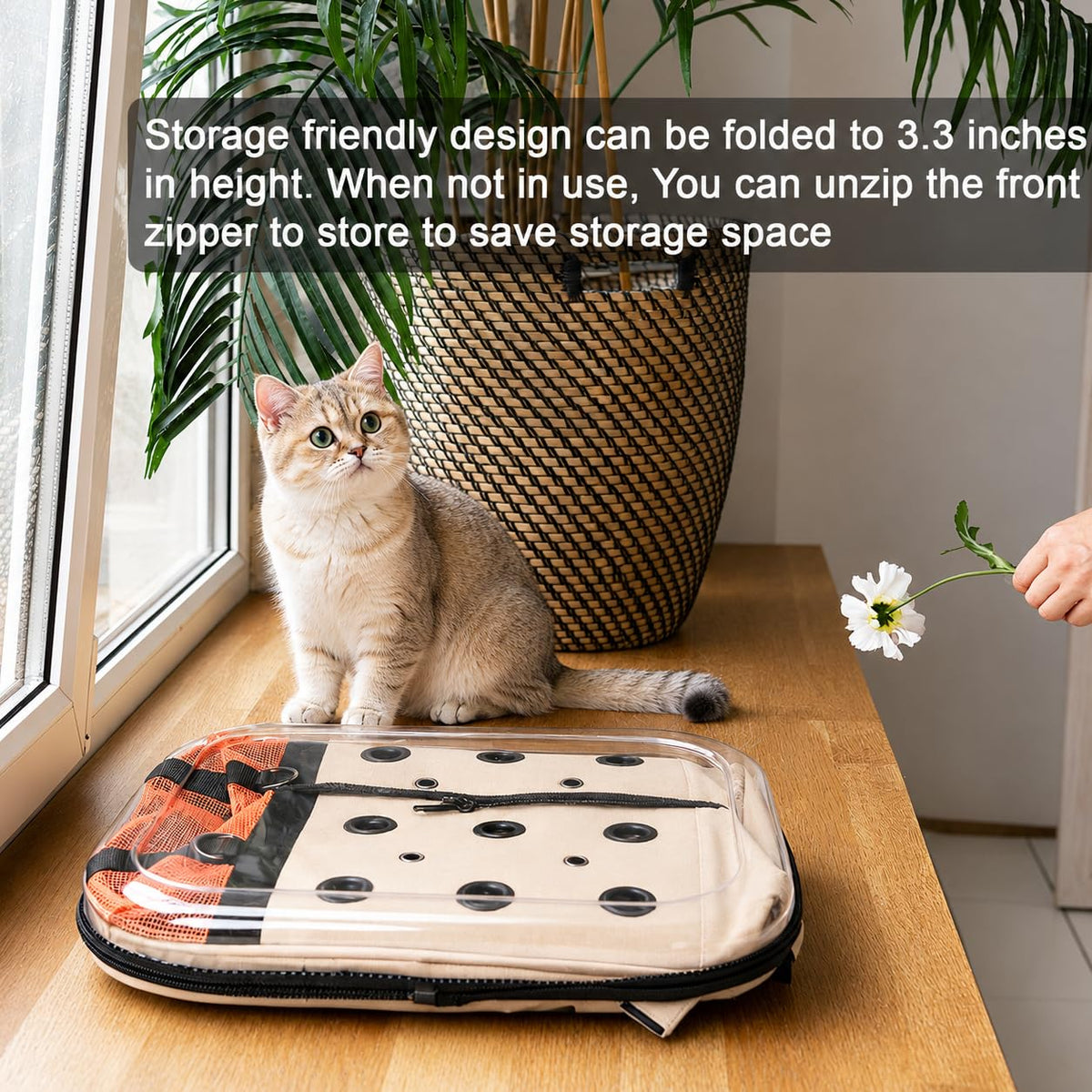 Large Breathable Cat Backpack Carrier D33945