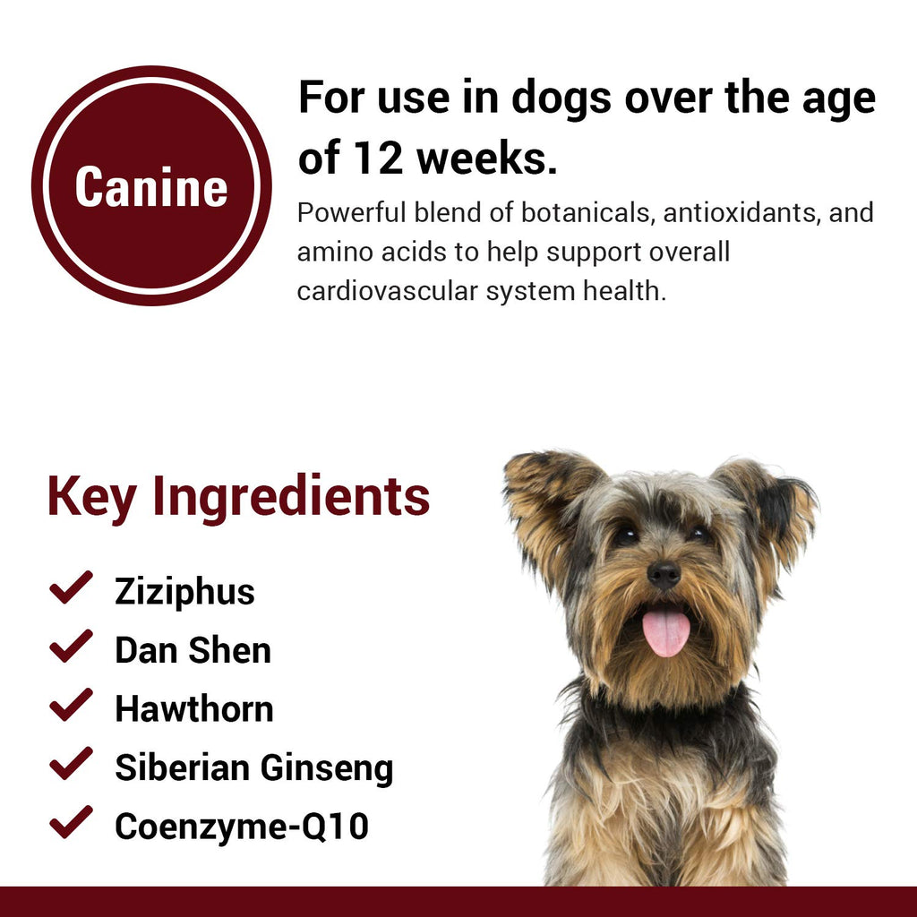 Cardiovascular Supplement with Coenzyme Q-10 for Dogs 120 Ct Q78572