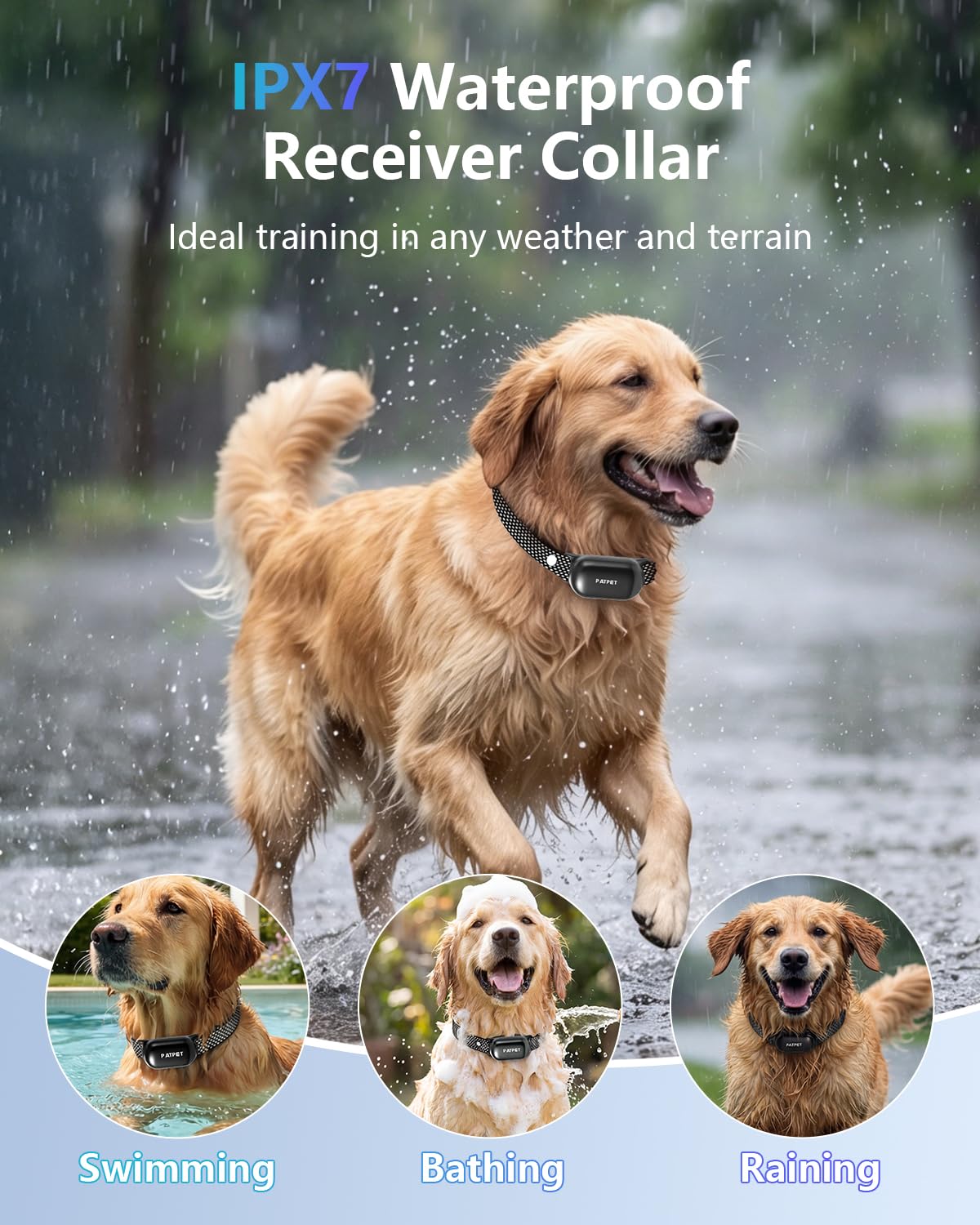 Dog Shock Collar with Remote Control F233857