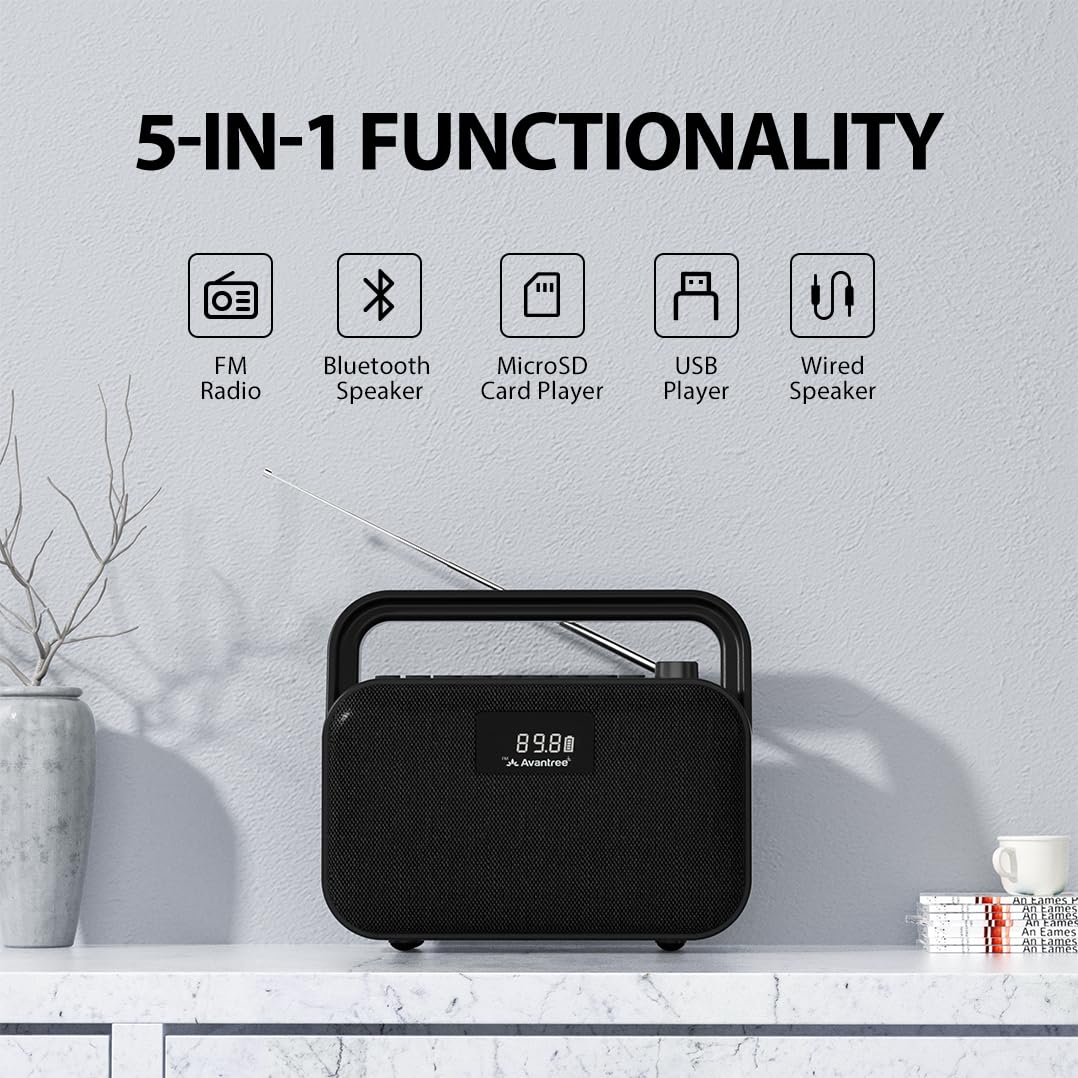 Portable FM Radio with 30W Stereo Bluetooth Speaker C934