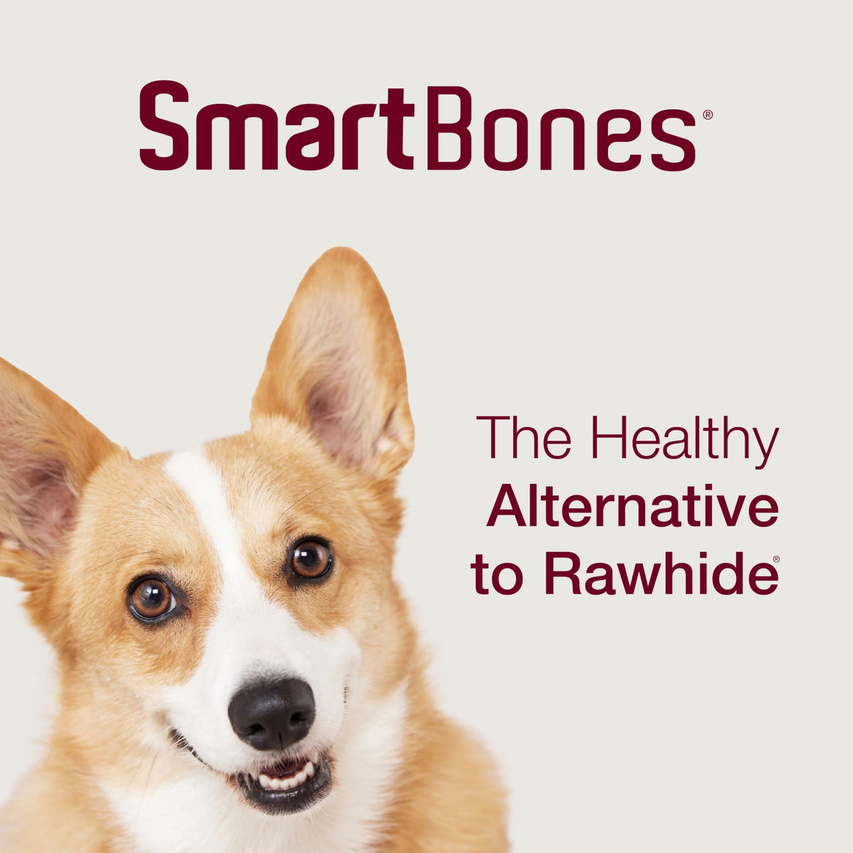 Mini Rawhide-Free Chews for Dogs G566
