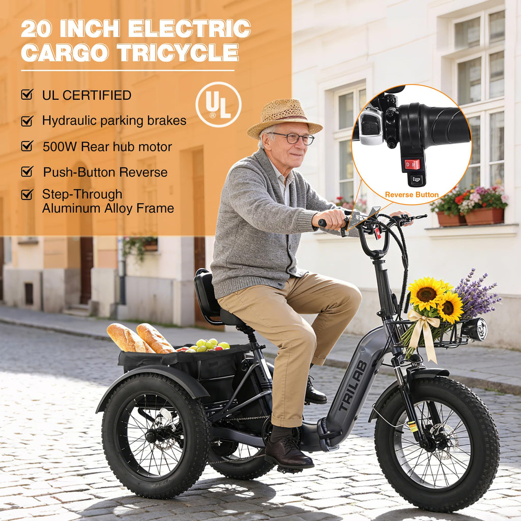 20" Fat Tire Foldable Electric Tricycle X73616