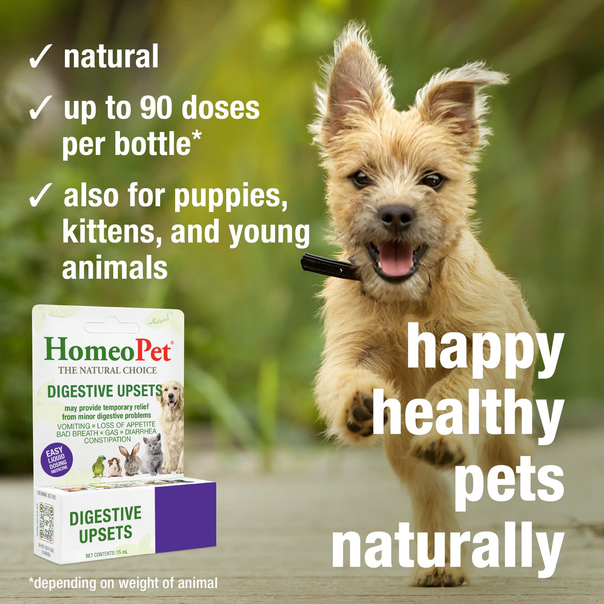 15 Milliliters Digestive Upsets for Dogs, Cats, and Small Pets B373