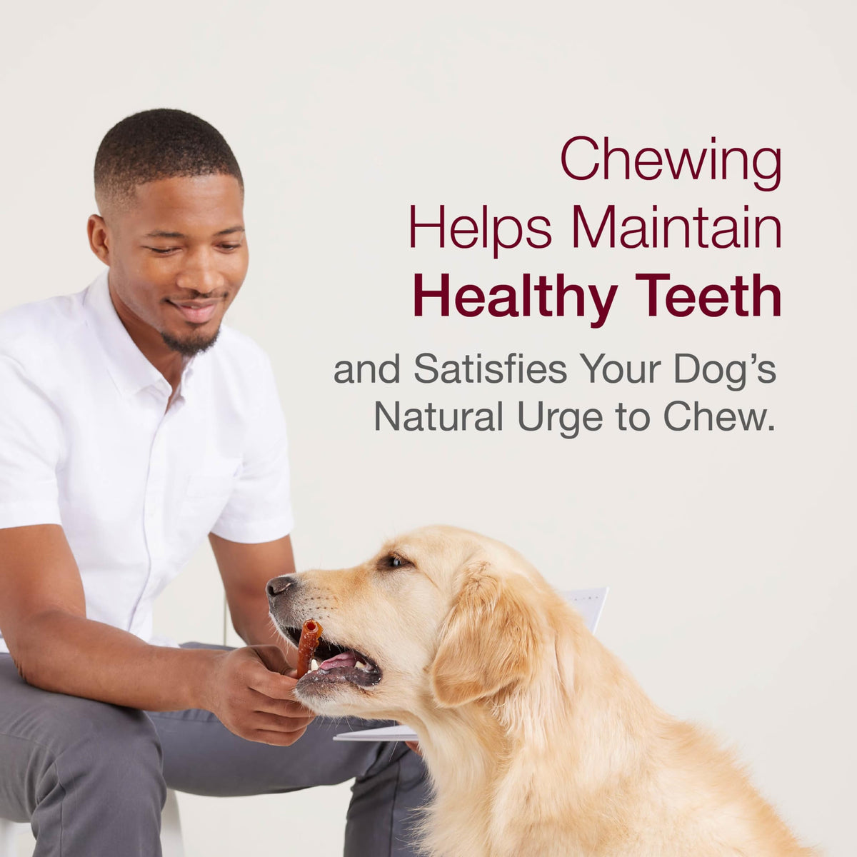 Mini Rawhide-Free Chews for Dogs G566