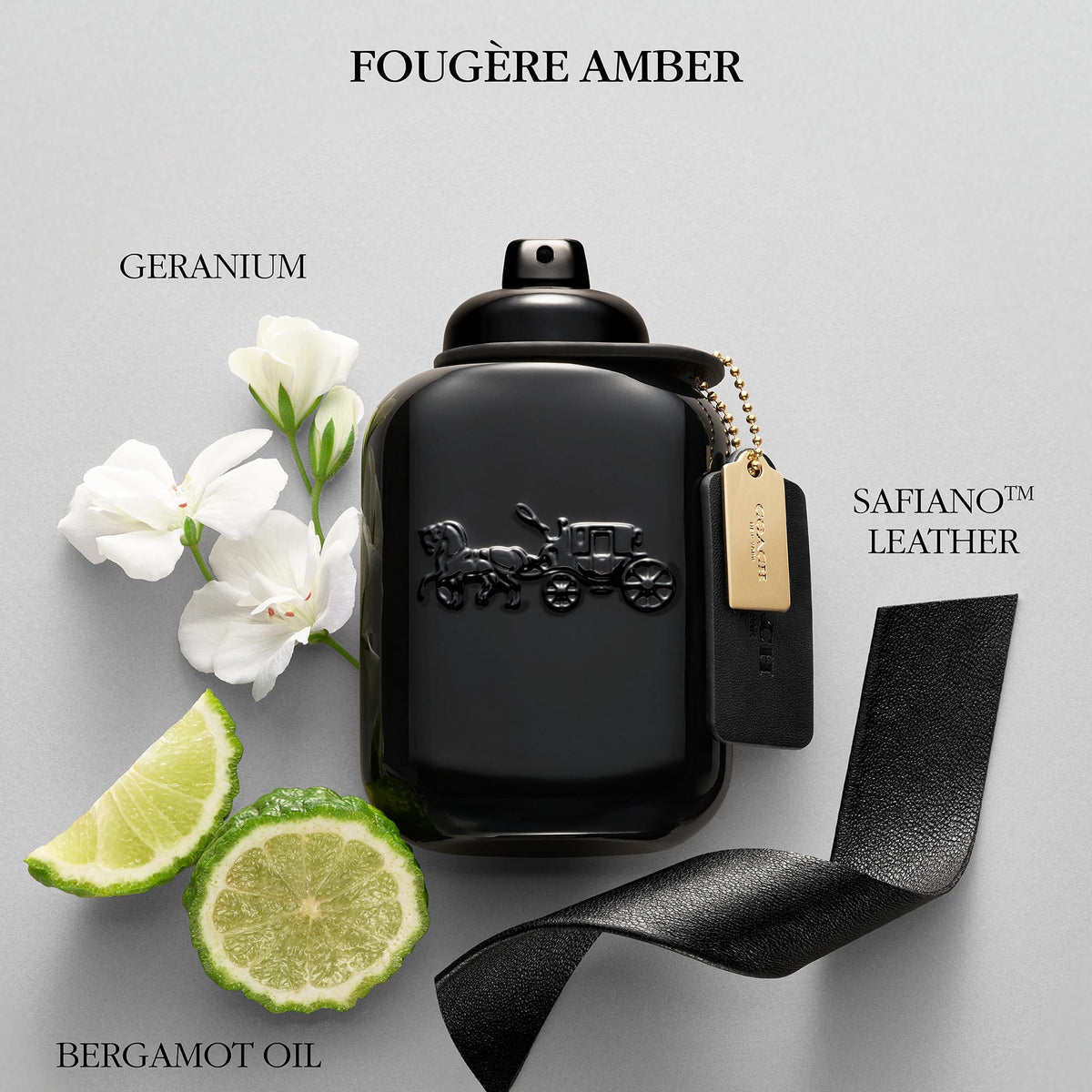 Eau de Parfum N100648