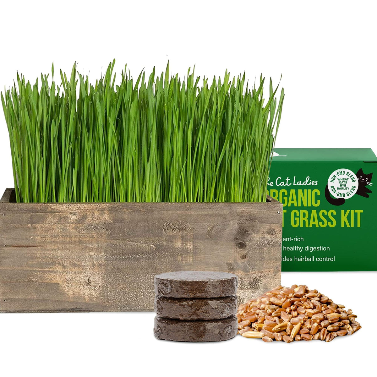 Cat Grass Kit with Wood Planter, Organic Seed and Soil T5844