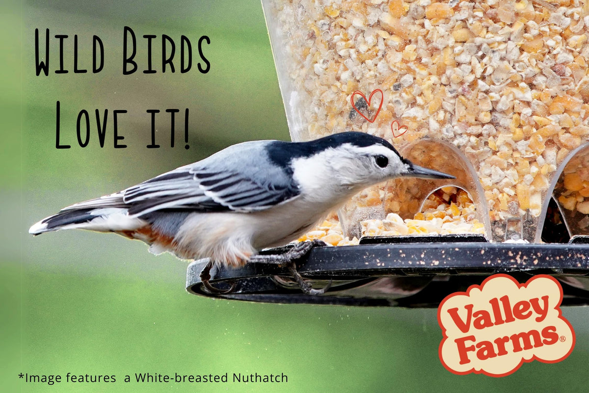Cracked Corn Wild Bird Food 20 LB N869486