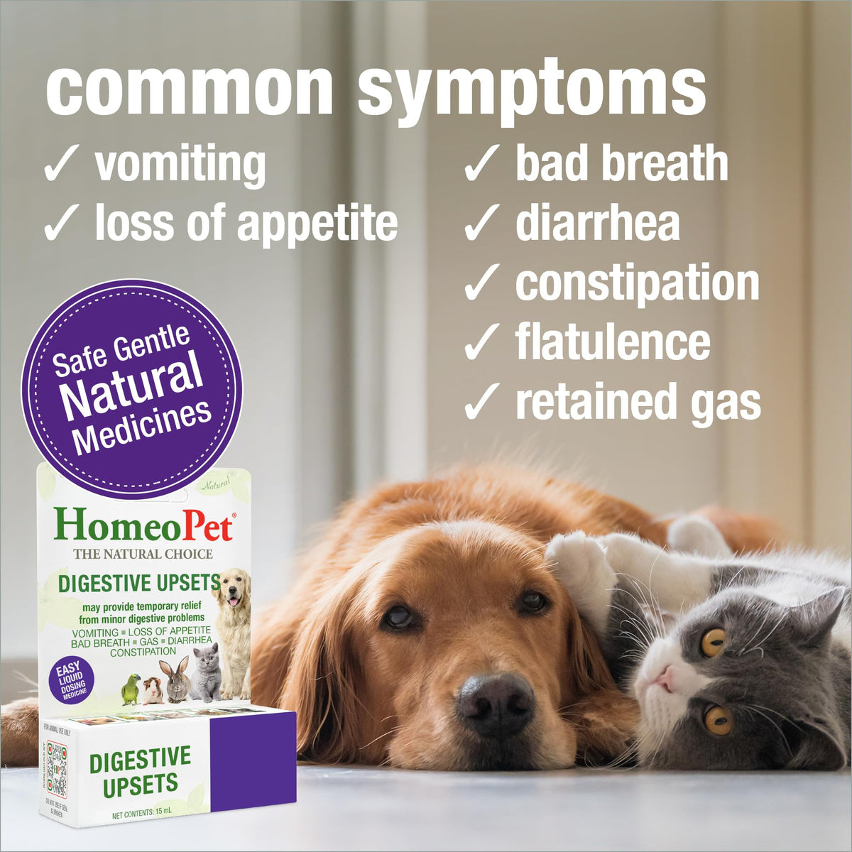 15 Milliliters Digestive Upsets for Dogs, Cats, and Small Pets B373