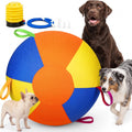 Inflatable Dog Ball with Handle Cover & Pump 18in L353923
