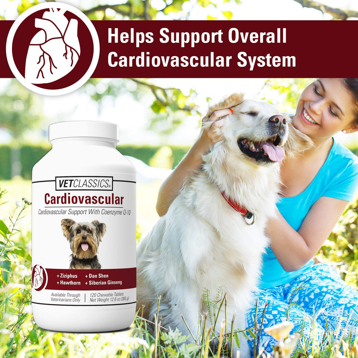 Cardiovascular Supplement with Coenzyme Q-10 for Dogs 120 Ct Q78572