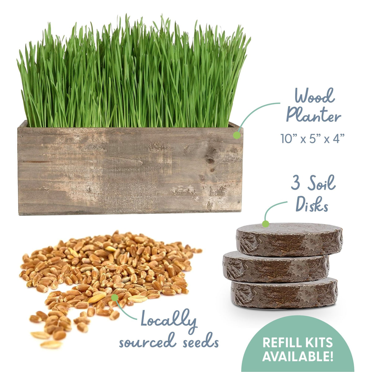 Cat Grass Kit with Wood Planter, Organic Seed and Soil T5844