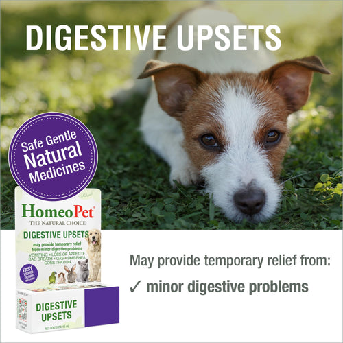 15 Milliliters Digestive Upsets for Dogs, Cats, and Small Pets B373