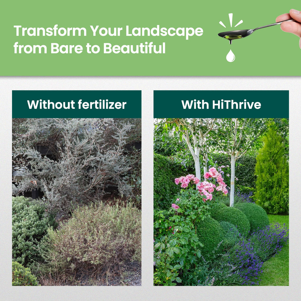 16oz Tree and Shrub Fertilizer P526
